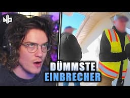 Die dümmsten Verbrecher 😂 | Niek reagiert auf Daily Dose of Internet | Niekbeats