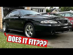 Dragpack Install on SN95 Mustang Cobra [Pt.1]