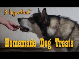 Homemade 3 Ingredient Dog Treats