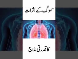 Natural Remedy For The Effects of Smog | Smog Kay Asrat ka Qudrati Ilaj | Natural Remedy for Smog