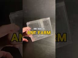 Making an Ant Farm For Pet Ants