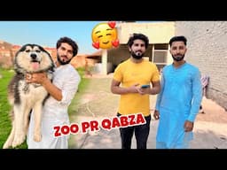 Achanak Zoo Pr Qabza ￼😱 Mini Zoo Last Moments 🥰 Samad Dekh Kr Hairan 🏠