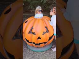 Finn and Nev turned into a MAGICAL pumpkin #viralvideo #kidsvideo #trending