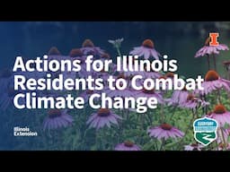 Actions for Illinois Residents to Combat Climate Change, Everyday Environment