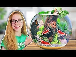 How To: Easy Biosphere Bowl for Shrimp [Step by Step]