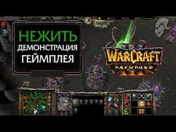 Warcraft III: Reforged BETA | Нежить - Демонстрация геймплея | Без комментариев