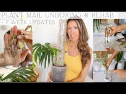 Greenspaces Unboxing | How I Import + Rehab Plants