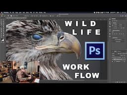 WILDLIFE PHOTOGRAPHY | My Workflow Post-Print