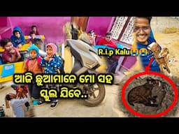 ସବୁଦିନ ଖୁସି ର ଦିନ ନୁହଁ / @rupapin2khushiexpress443 viewers watch this vlog / Weekend vlogs