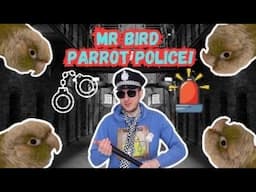 MR BIRD PARROT POLICE | IF YOU DO THIS TO YOUR BIRD YOU GO TO JAIL