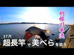 長竿とドボンでヘラブナを攻略する３０日間のストーリー