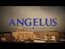 Angelus prayer with Pope Francis on the Solemnity of All Saints  | Live | 01 November 2024