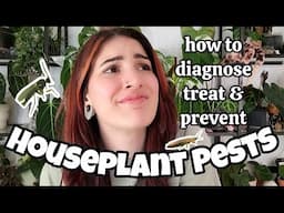 HOUSEPLANT PESTS 🪰 How To Diagnose, Treat & Prevent Fungus Gnats, Mealybugs, Spider Mites & Thrips 🌿