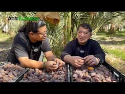 1st PINOY na may DATES FARM sa U.S. - JOMAR HIZON ng PAMPANGA'S BEST!