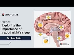 Sleep: Exploring the Importance of a Good Night's Sleep