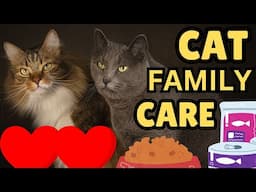 How To Manage A Multi-Cat Household (Important Tips)