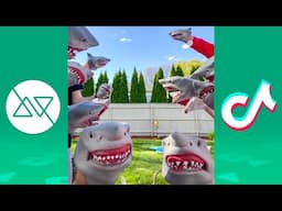 Ultimate Shark Puppet TikTok Compilation 2021 - Funny Shark Puppet Videos