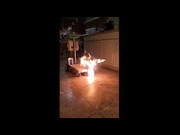 Security Robot Breathes Fire #robot #funny #joke #prank #fire #engineering #viral #dog #technology