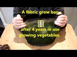 Grow Potatoes in fabric bags how long do they last. Bag 99's gone AWOL, best mate bag 88 stands in.