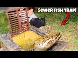 I Found ALIEN FISH In The SEWER!