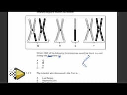 Copy of 2023 MEMO LIFE SCIENCES P.2  GARDE 12  2023 FINAL  EXAMS 2023[THUNDEREDUC] BY: M.SAIDI #memo