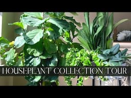 NEW Houseplant Collection Tour Spring 2022