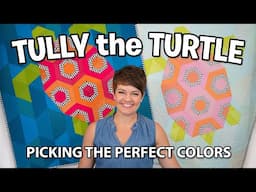 Tully the Turtle - Picking the perfect colors!