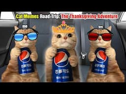 Cat Memes Road Trip: The Thanksgiving Adventure