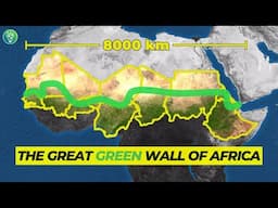 Why Africa Needs A (Green) Wall