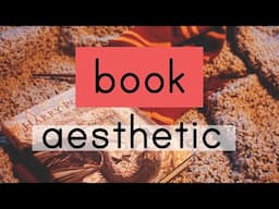 book aesthetic III