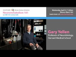 Neurometabolism 101 w/ Gary Yellen