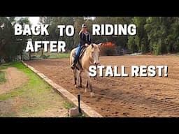 BACK TO RIDING AFTER STALL REST How to keep a horse's mind busy.