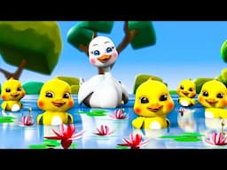 Five Little Babies | Old Macdonald | Twinkle Twinkle | newborn baby songs &nursery rhymes