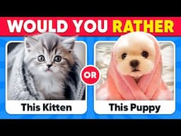 Would You Rather...? ANIMALS Edition 😺🐶 Quiz Kingdom