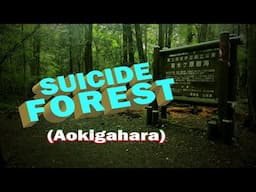 (Aokigahara) Suicide forest ki akiba wari