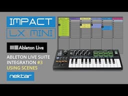 3.Using Scenes in Ableton Live Suite - LX Mini DAW integration