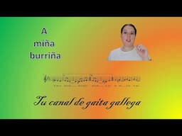 A miña burriña