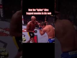 How The "Spider" Silva trapped enemies in his web #mma #andersonsilva #ufc