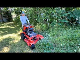 She was FINED for not mowing, but the CITY owns it now and STILL won’t mow