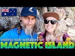 Visiting Magnetic Island's Rock Wallabies & Find Amazing Hot Water Showers on Dunk Island