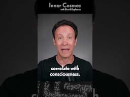 The Easy Problem and the Hard Problem of Consciousness | INNER COSMOS WITH DAVID EAGLEMAN #shorts