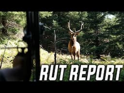 LIVE RUT REPORT! (best opening weekend ever)