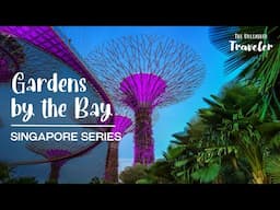 Tour The Amazing Gardens By The Bay In Singapore! 🌺🍃