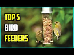 Best bird feeders 2024 | A buyer's guide to bird feeders