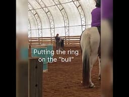 Ever think of doing working equitation? I scribed for aWE show.  #horseriding #workingequitation