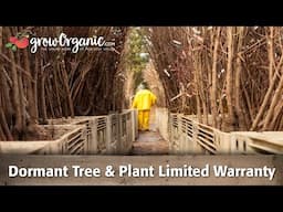 Bare Root Tree & Plant Limited Warranty