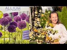 Garden in November: Planting Allium/ Fixing Wattle Fence/ Seesii Chainsaw Review