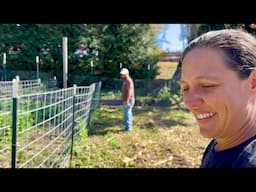 Feed Your Land and It Will Feed You | Homestead Vlog | November 8, 2024