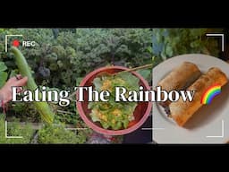 EATING THE RAINBOW | WHOLE FOOD PLANT BASED VEGAN | SUMMER EDITION