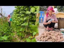 Mom took care of the vegetable garden then sold sweet potatoes to save money to finish the house.